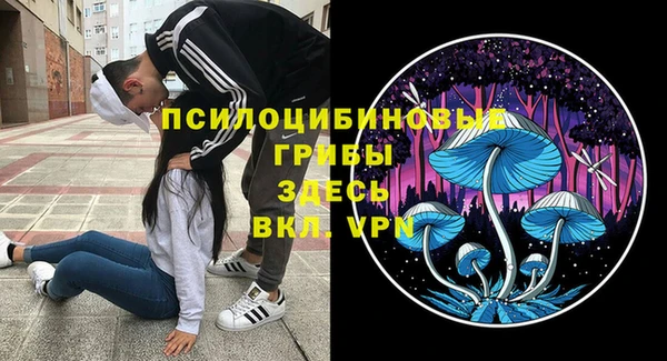 apvp Кулебаки