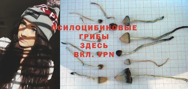 гидра Балабаново