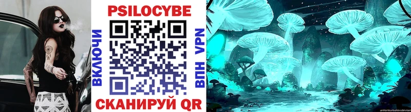 Псилоцибиновые грибы Cubensis  купить  цена  Билибино 